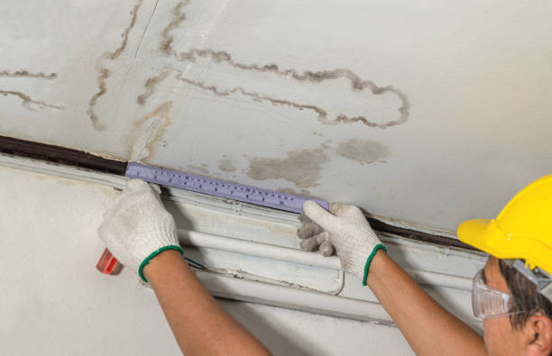 Reliable Water Damage contractor in Sherman, TX by Water Damage Irwin